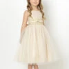 Girls Champagne Flower Girl Dress -Stylish Children's Clothing Store 1 2 1 42252.1619021444