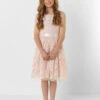 Girls Pink Eloquence Dress 2 Girls Pink Eloquence Dress -Stylish Children's Clothing Store 1 147 88 10918.1619021487