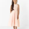 Girls Pale Pink Flower Girl Dress 1 Girls Pale Pink Flower Girl Dress -Stylish Children's Clothing Store 1 147 93 1 62061.1619021488