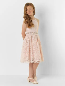 Girls Blush Eloquence Dress With Pink Belt -Stylish Children's Clothing Store 3 112 81 46445.1619021490