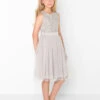 Mini Maya Girls Soft Grey Dress -Stylish Children's Clothing Store maya maya grey 1 2 92564.1619021536