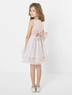 Girls Pink Champagne Dress Designed By Roco -Stylish Children's Clothing Store roco dress rosie chpink 3 24149.1619021557